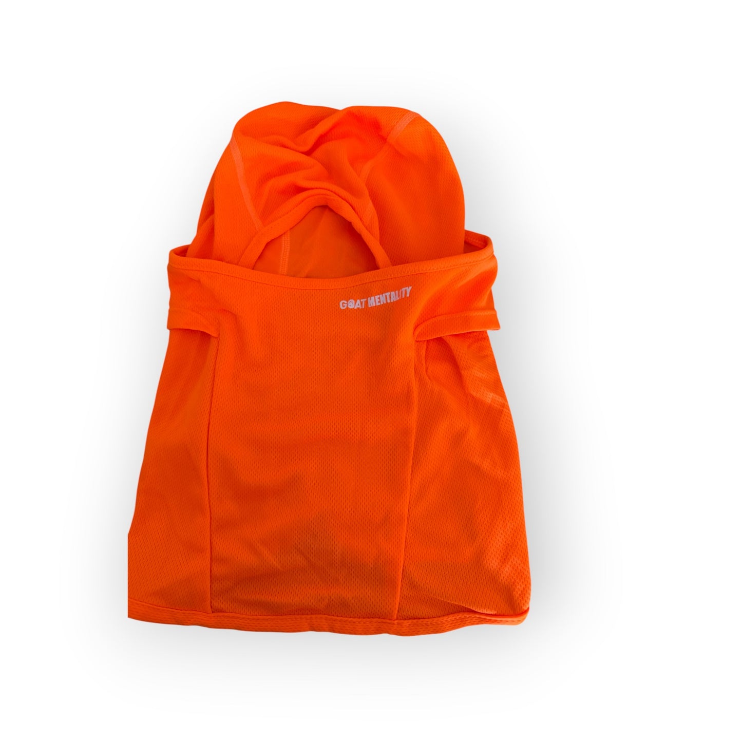 Ski Mask